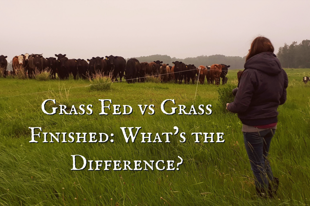 Grass Fed vs Grass Finished : What's the Difference?